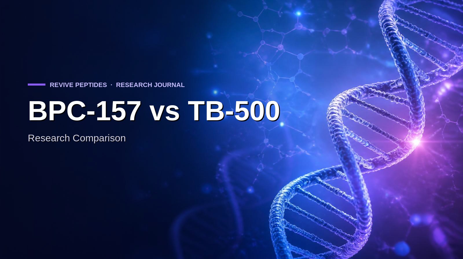 Regenerative Research Peptides: BPC-157, TB-500 and KPV — NZ Peps research article cover image